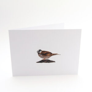 Set van 6 wenskaarten 'BirdDay-I'