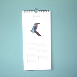 Kalender Birdday 01