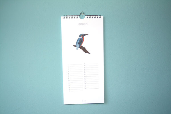 Kalender Birdday 01