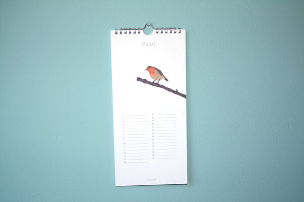 Kalender Birdday 03