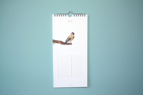 Kalender Birdday 06