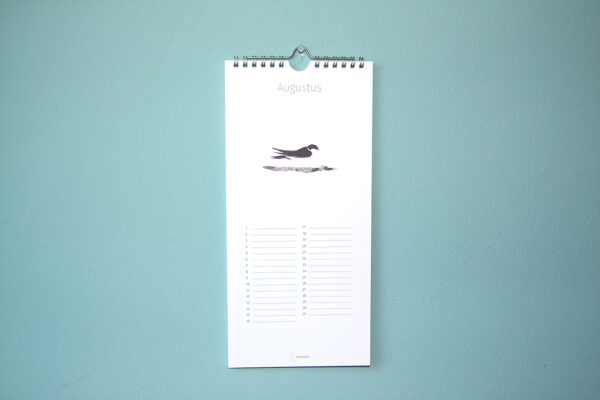 Kalender Birdday 08