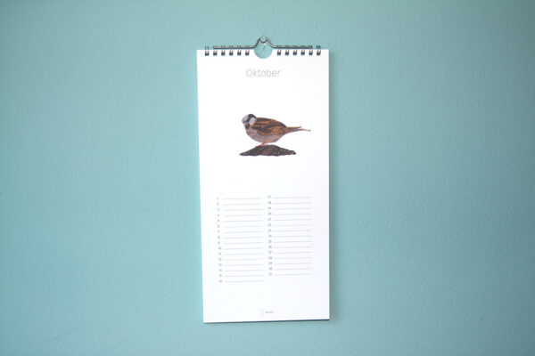 Kalender Birdday 10