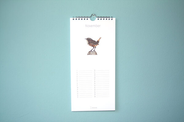 Kalender Birdday 11