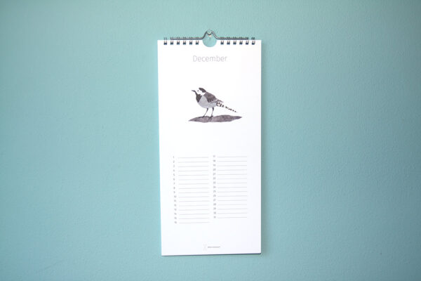 Kalender Birdday 12