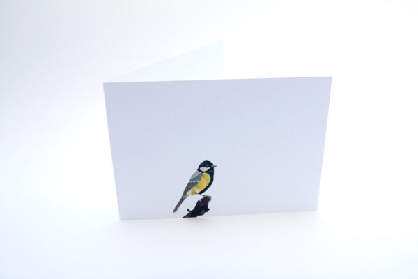 Set van 6 wenskaarten 'BirdDay-II' - Afbeelding 3