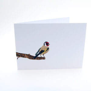 Set van 6 wenskaarten 'BirdDay-II'