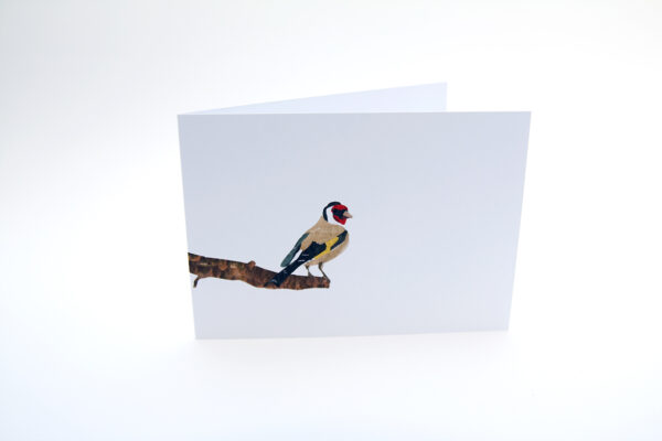 Set van 6 wenskaarten 'BirdDay-II'