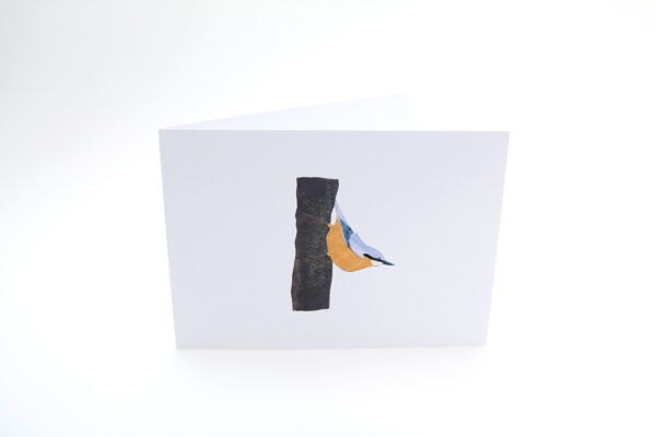 Set van 6 wenskaarten 'BirdDay-II' - Afbeelding 4