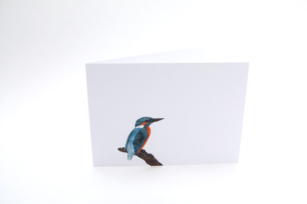 Set van 6 wenskaarten 'BirdDay-II' - Afbeelding 6