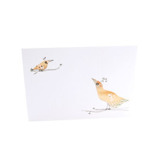 Set van 6 wenskaarten 'Wensvogels'