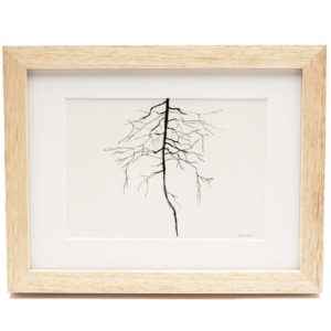 BoekDelen Originals | Roots *VERKOCHT*